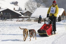 Lenk 2012 SM